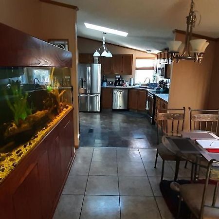 Private Pet Friendly Home Near Exotic Deer Farm Close To Pigeon Forge, Gatlinburg Tn เซอเวียร์วีล ภายนอก รูปภาพ