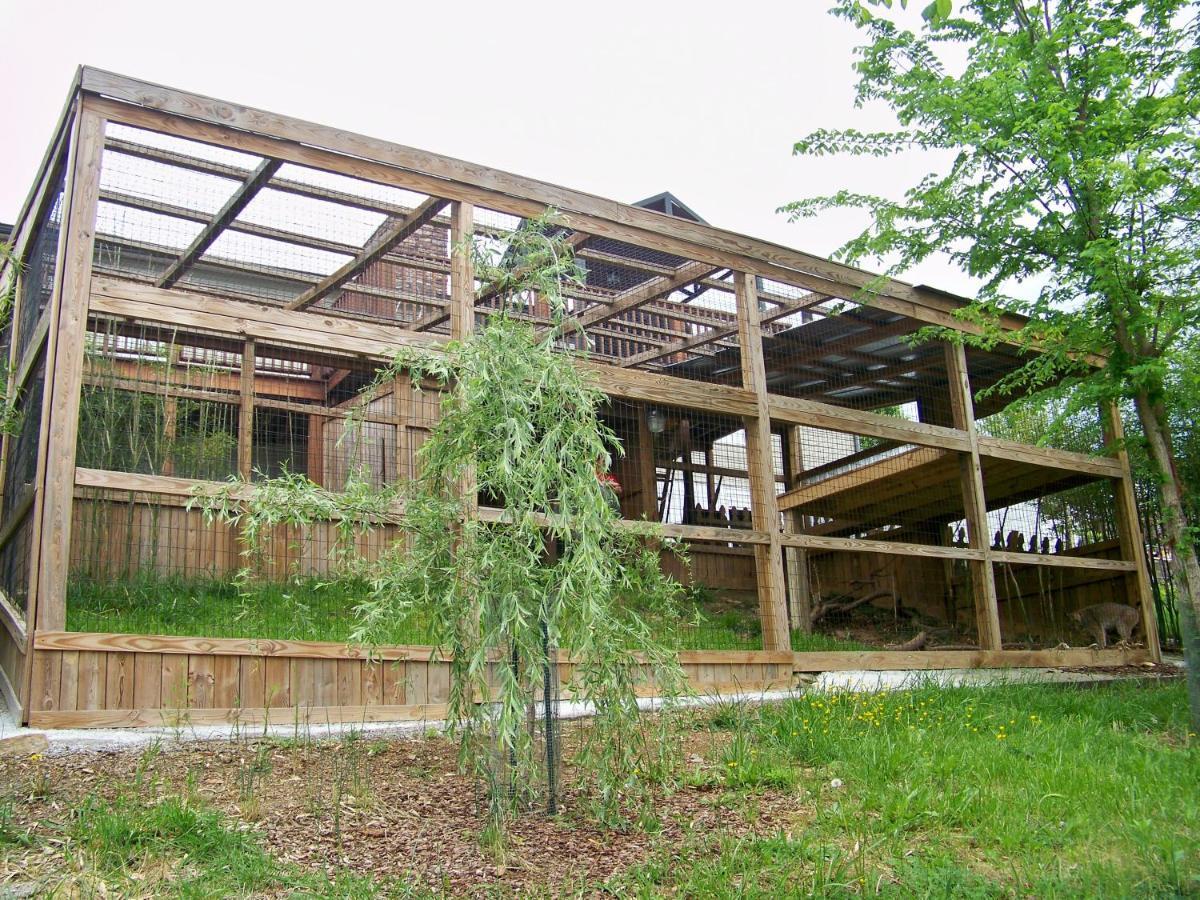 Private Pet Friendly Home Near Exotic Deer Farm Close To Pigeon Forge, Gatlinburg Tn เซอเวียร์วีล ภายนอก รูปภาพ